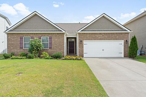 6415 Birchtree Dr, Murfreesboro, TN 37128 photo 1