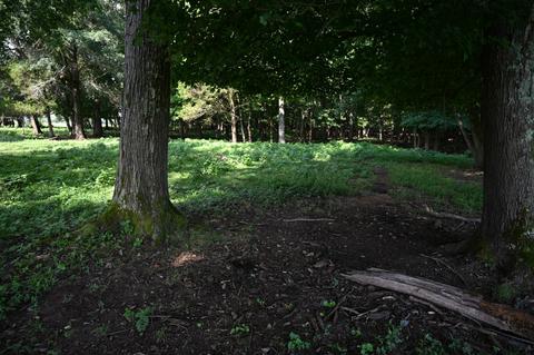 188 Smoot Rd, Morrison, TN 37357 photo 15