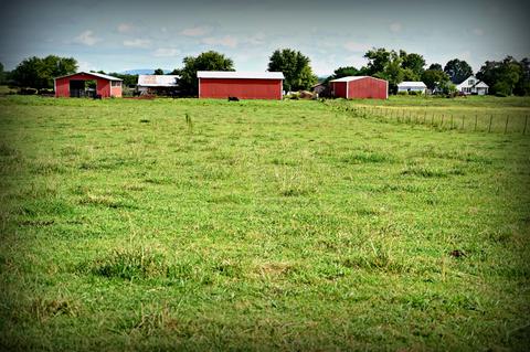 188 Smoot Rd, Morrison, TN 37357 photo 21