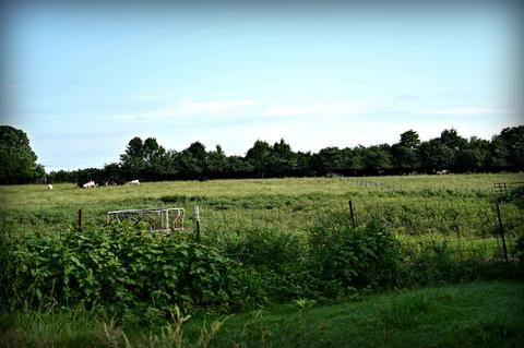 188 Smoot Rd, Morrison, TN 37357 photo 9