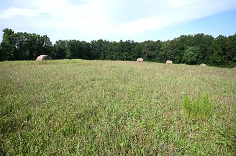 188 Smoot Rd, Morrison, TN 37357 photo 7