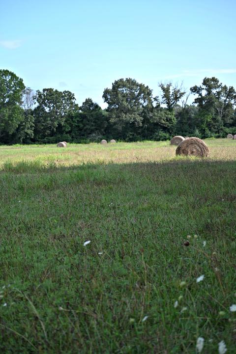 188 Smoot Rd, Morrison, TN 37357 photo 3