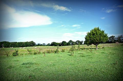 188 Smoot Rd, Morrison, TN 37357 photo 2