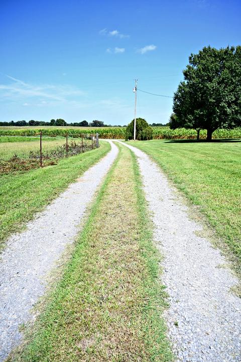 188 Smoot Rd, Morrison, TN 37357 photo 28