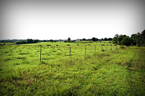 188 Smoot Rd, Morrison, TN 37357 photo 6