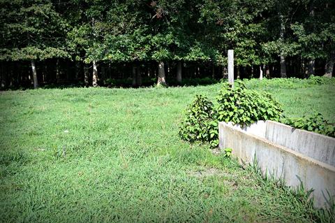 188 Smoot Rd, Morrison, TN 37357 photo 19