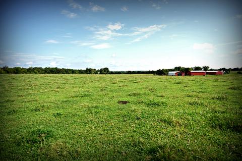 188 Smoot Rd, Morrison, TN 37357 photo 20