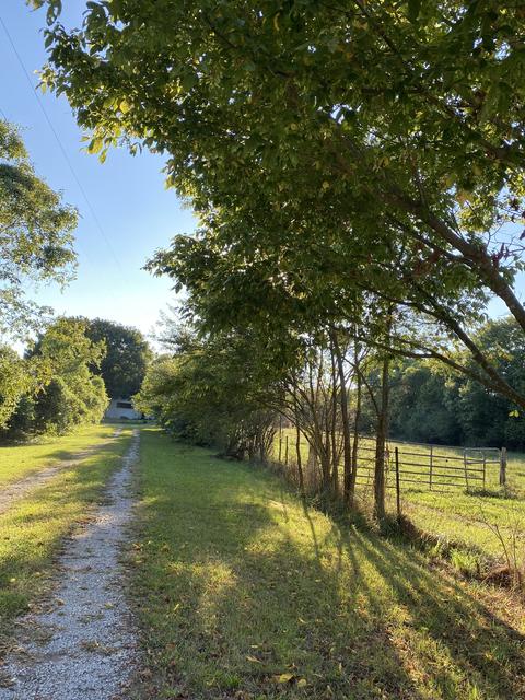 4192 Us 41, Pelham, TN 37366 photo 19