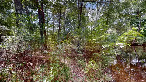 0 Martin Rd, Morrison, TN 37357 photo 20
