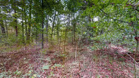 0 Martin Rd, Morrison, TN 37357 photo 19