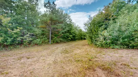 0 Martin Rd, Morrison, TN 37357 photo 21