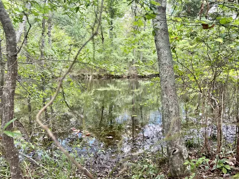 0 Martin Rd, Morrison, TN 37357 photo 17