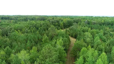 0 Martin Rd, Morrison, TN 37357 photo 11