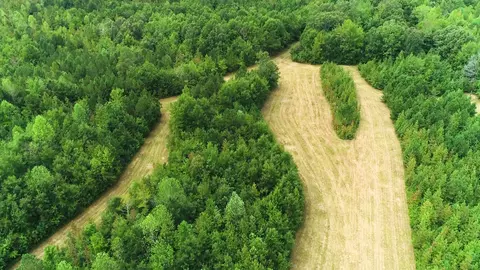 0 Martin Rd, Morrison, TN 37357 photo 10