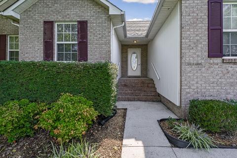 170 Lake Villa Cir, Morrison, TN 37357 photo 16