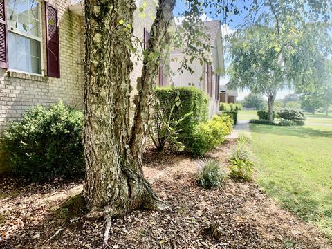 170 Lake Villa Cir, Morrison, TN 37357 photo 4