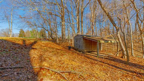 3445 Forest Park Rd, Springfield, TN 37172 photo 39
