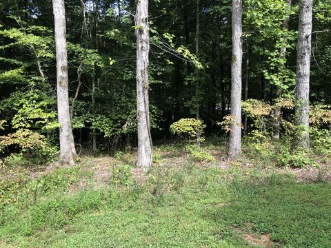 19 Riverwatch Trce, Sparta, TN 38583