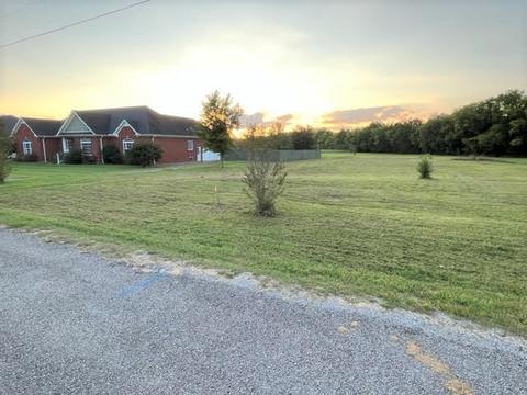 4108 Lillie Field Ln, Chapel Hill, TN 37034