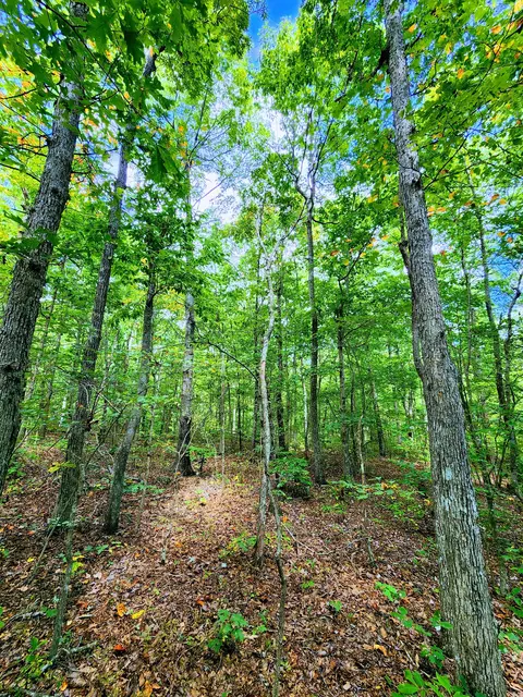 75 Hunters Trail Way, Altamont, TN 37301