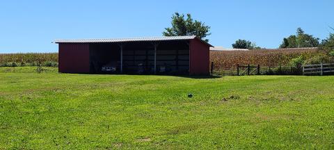321 Rigney Ln, Morrison, TN 37357 photo 48