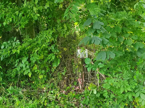 0 Walter Stone Rd, Sparta, TN 38583