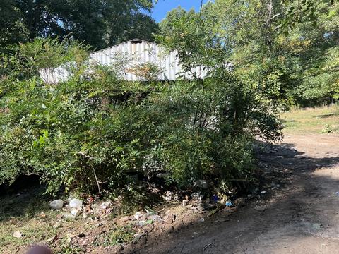 1195 Manley Loop, Dickson, TN 37055 photo 16