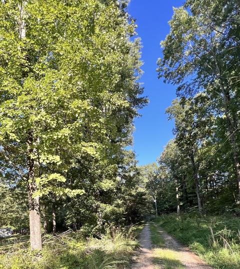 1195 Manley Loop, Dickson, TN 37055 photo 6