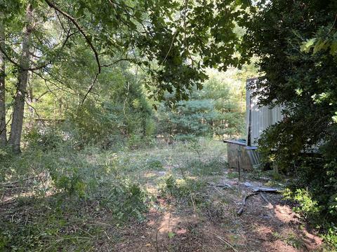 1195 Manley Loop, Dickson, TN 37055 photo 5