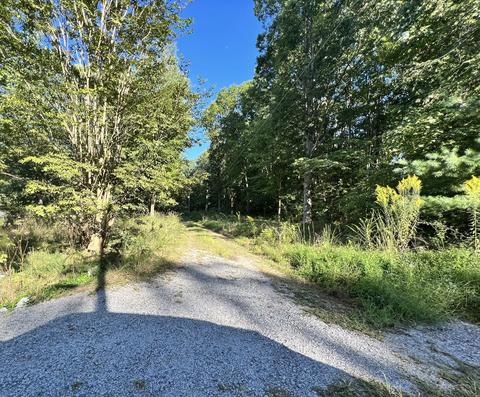 1195 Manley Loop, Dickson, TN 37055 photo 3