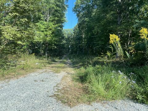 1195 Manley Loop, Dickson, TN 37055 photo 10