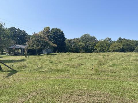 74 Cedar Hill Rd, Loretto, TN 38469 photo 15