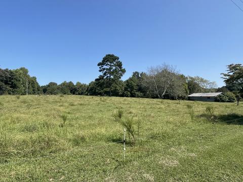 74 Cedar Hill Rd, Loretto, TN 38469 photo 5