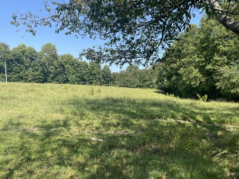 74 Cedar Hill Rd, Loretto, TN 38469 photo 19