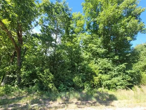 0 Stegall Rd, Huron, TN 38345 photo 2