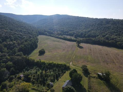 310 Winton Rd, Morrison, TN 37357 photo 16