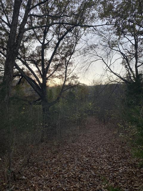 310 Winton Rd, Morrison, TN 37357 photo 23