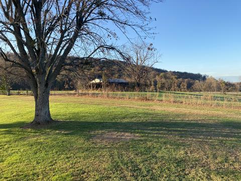 310 Winton Rd, Morrison, TN 37357 photo 31