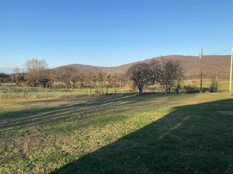 310 Winton Rd, Morrison, TN 37357 photo 26