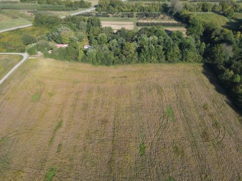 310 Winton Rd, Morrison, TN 37357 photo 15