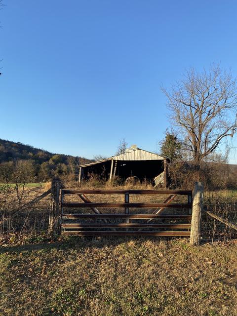 310 Winton Rd, Morrison, TN 37357 photo 18