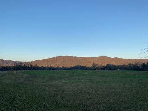 310 Winton Rd, Morrison, TN 37357 photo 21