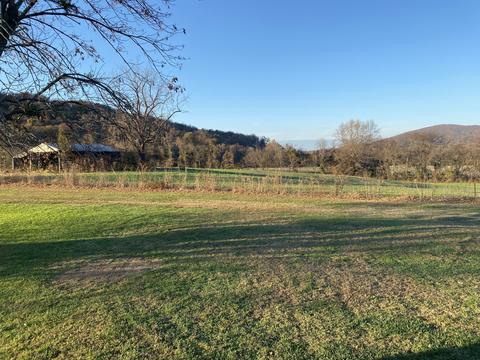310 Winton Rd, Morrison, TN 37357 photo 28
