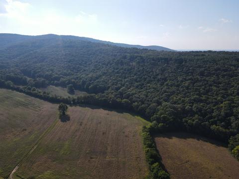 310 Winton Rd, Morrison, TN 37357 photo 12