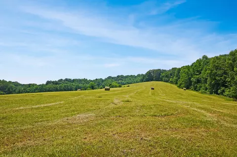 680 The Trce, Dover, TN 37058 photo 8