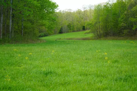 680 The Trce, Dover, TN 37058 photo 15