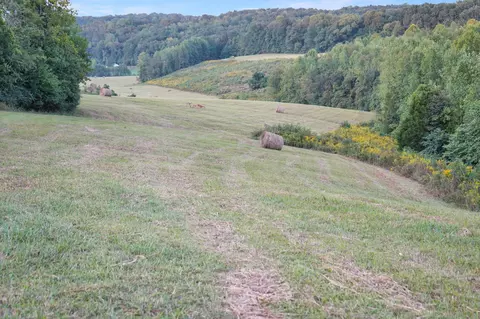 680 The Trce, Dover, TN 37058 photo 6