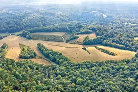 680 The Trce, Dover, TN 37058 photo 37