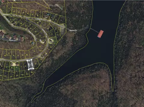 19 Harbor Dr, Lancaster, TN 38569