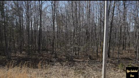 0 Mockingbird Ln, Wilder, TN 38589